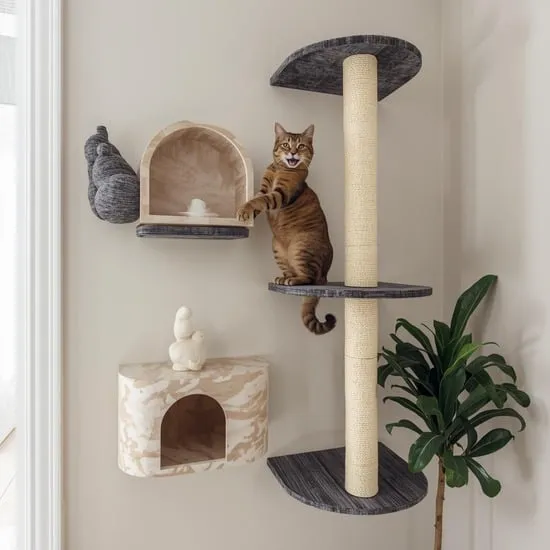 10 cat wall ideas you should try IMG01