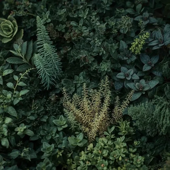 12 small garden ideas on a budget IMG10